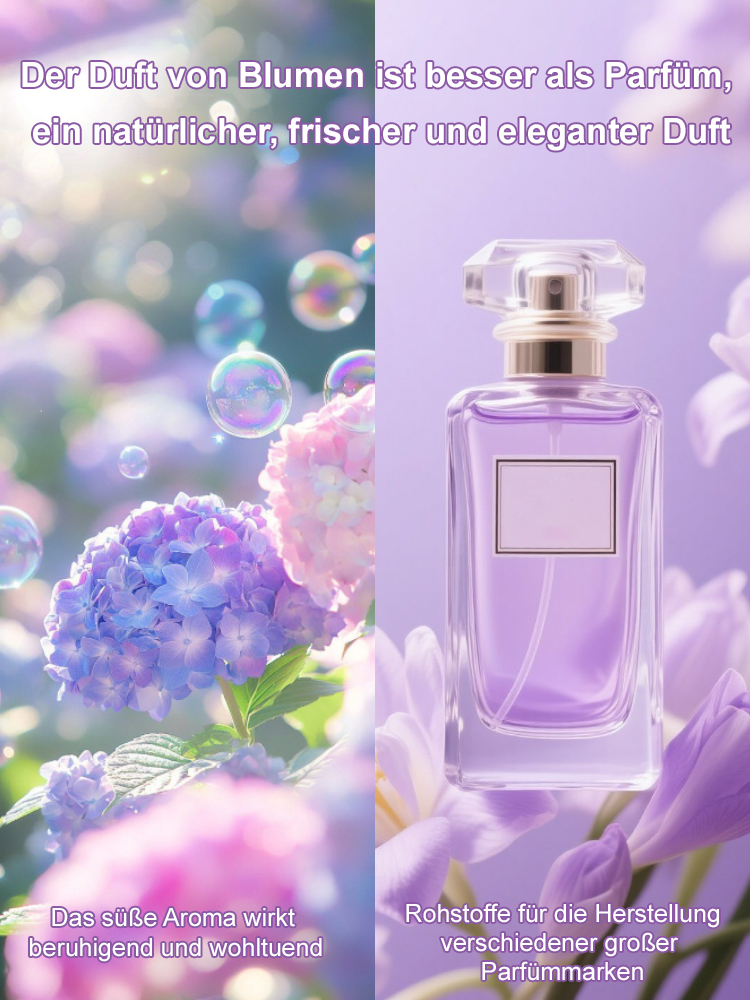  Dreifarbige, seltene, mehrjährige Schachbrett-Hortensie mit gefüllten Blüten【99% Überlebensrate】