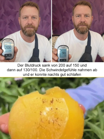 【Ergebniss des Jahres】Vier Jahreszeiten können gepflanzt werden, winterhart, trockenheitsresistent, 