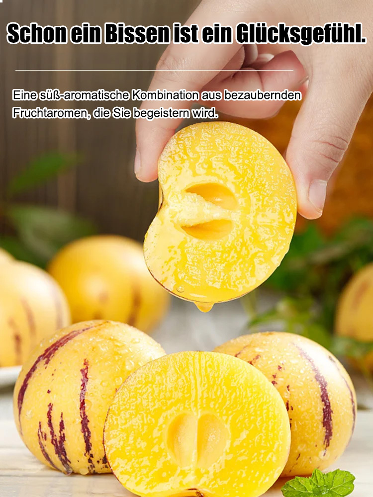 Zucker- und blutdrucksenkender, milchiger, gelber Topf-Pfirsichmelonen.