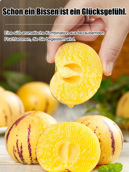 Zucker- und blutdrucksenkender, milchiger, gelber Topf-Pfirsichmelonen.