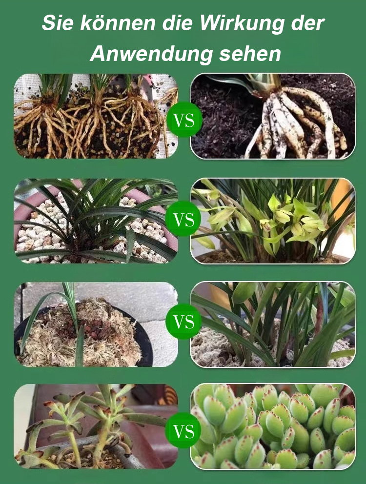 翻译件-JS-通用型植物花卉复活液-1153785_12.jpg