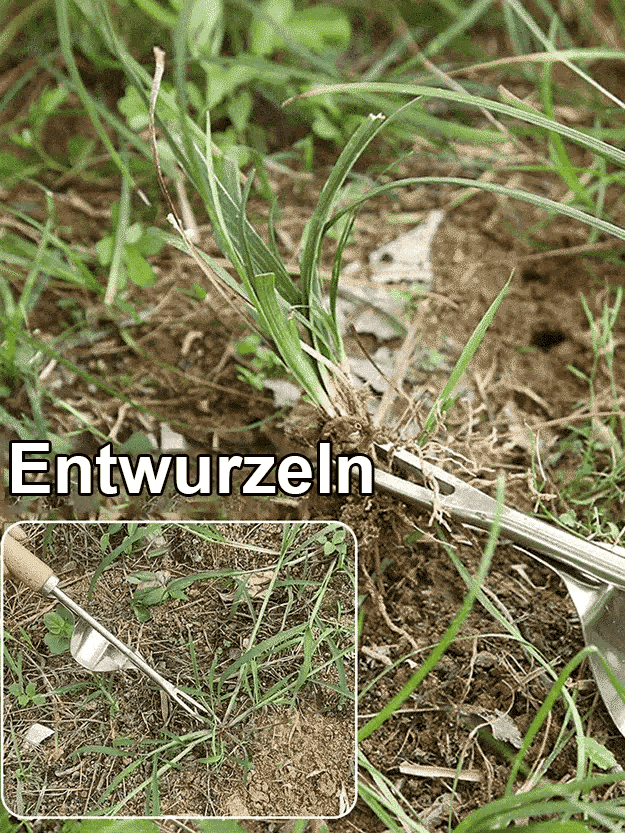 Von königlichen britischen Gärtnern verwendet 🌿, aus Titanlegierung gefertigt, rostet 30 Jahre lang nicht! 🛠️✨
