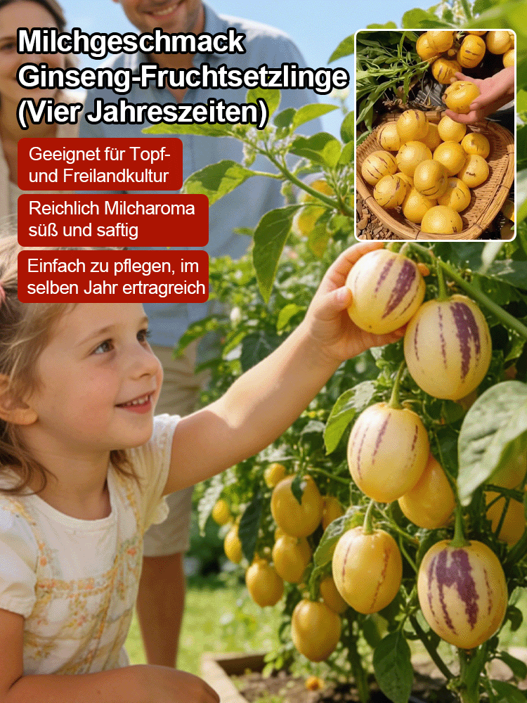 【Ergebniss des Jahres】Vier Jahreszeiten können gepflanzt werden, winterhart, trockenheitsresistent, 