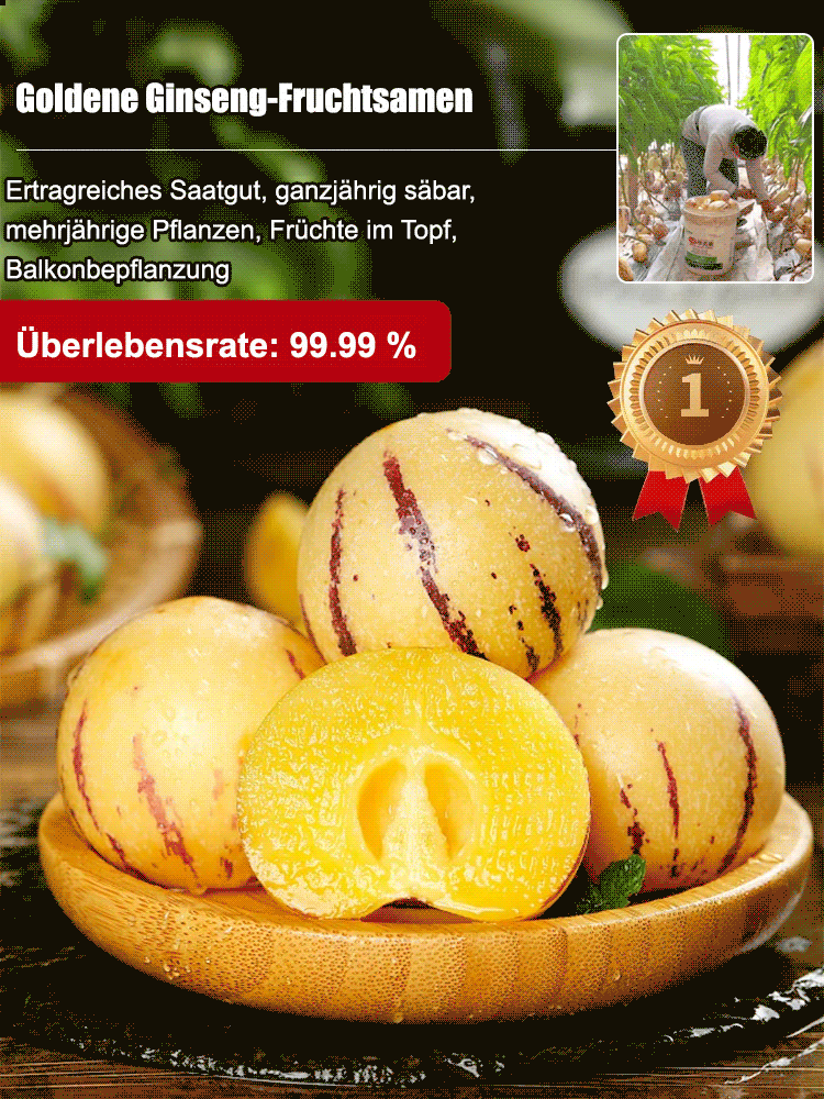 Zucker- und blutdrucksenkender, milchiger, gelber Topf-Pfirsichmelonen.