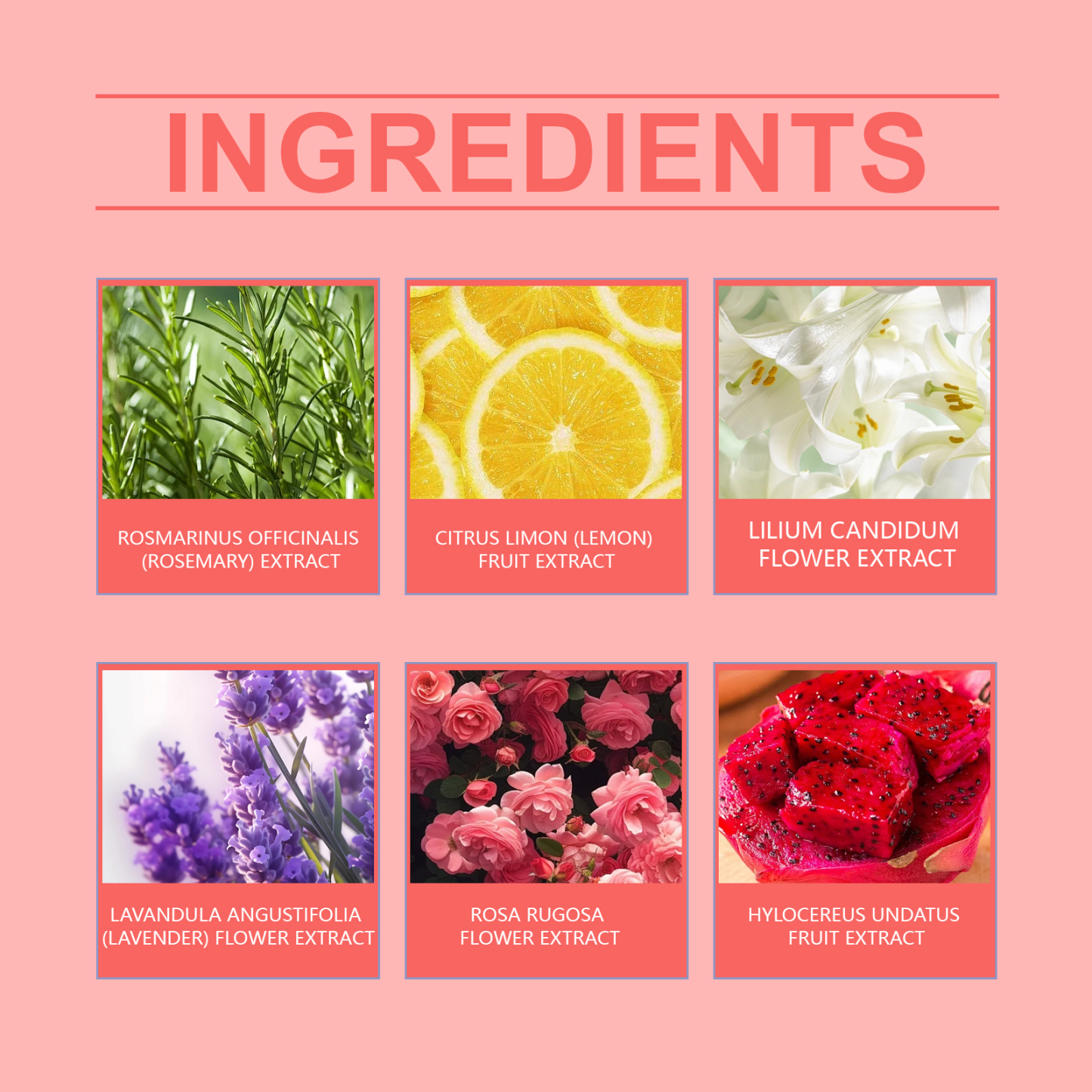 Pawdear Christmas Colorful Bath Ball, Bubble Shower Fragrance Moisturizes Long-Lasting Plant Cleaning Bath Bal-PawDear