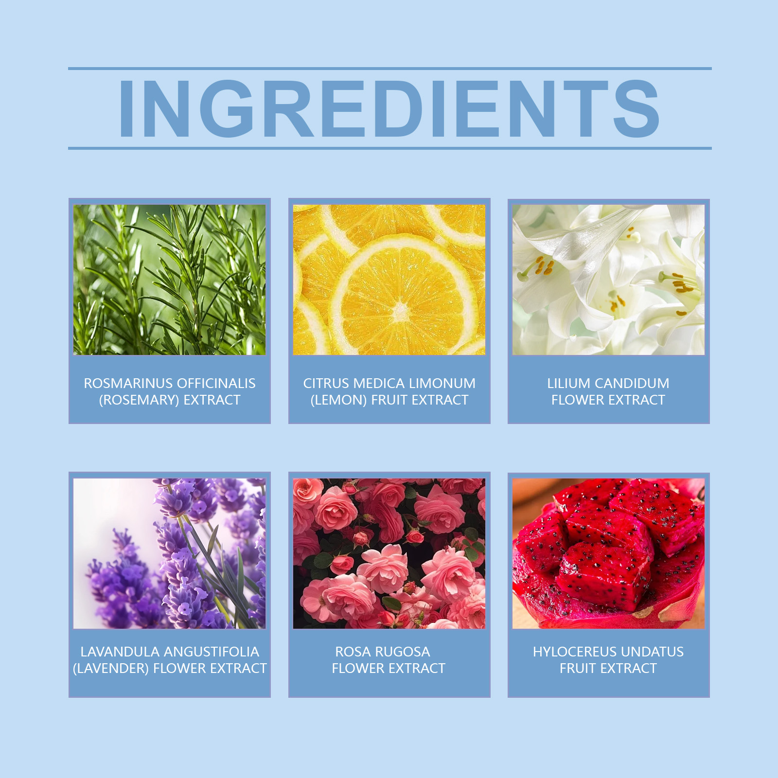 Pawdear Bubble Bath Ball Fragrance Moisturizing Flower Fragrance Long-lasting Fragrance Plant Cleansing Skin Bubble Bath Ball-PawDear