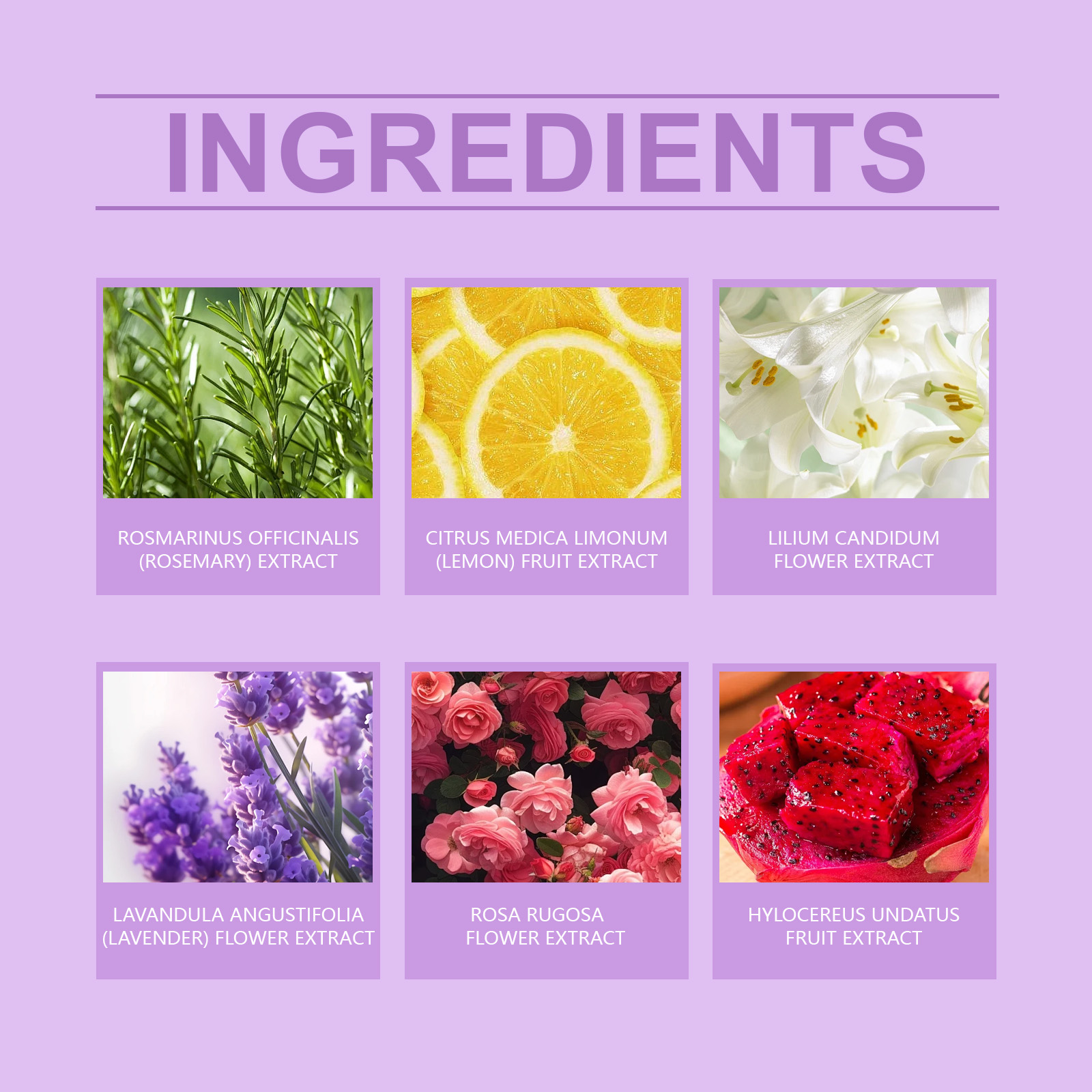 Pawdear Bubble Salt Bath Ball, Bubble Shower Fragrance Moisturizing Floral Long-Lasting Plant Cleaning Bath Ball-PawDear