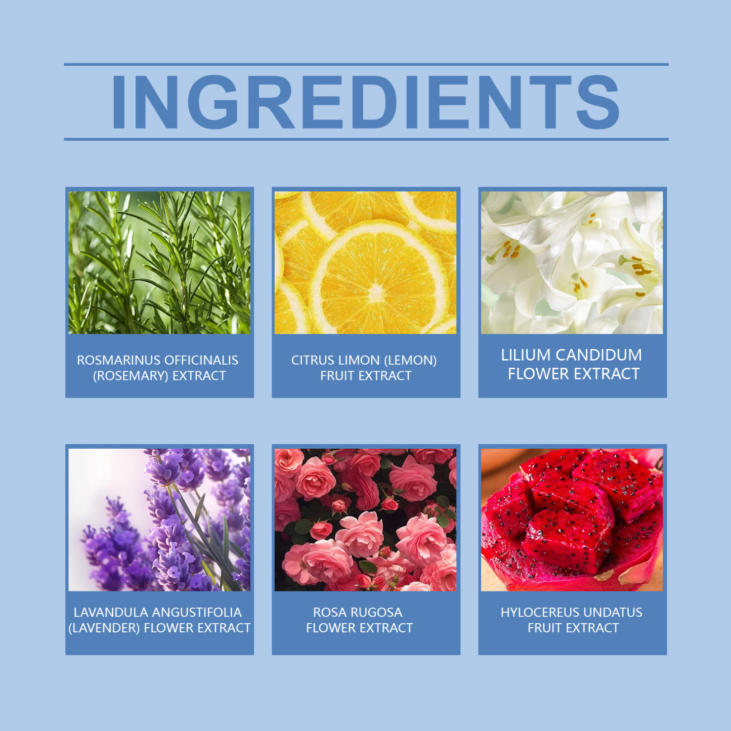 Pawdear Colorful Salt Bath Bal, Floral Shower Fragrance Clean, Moisturizing And Long-Lasting Colorful Bath Ball-PawDear