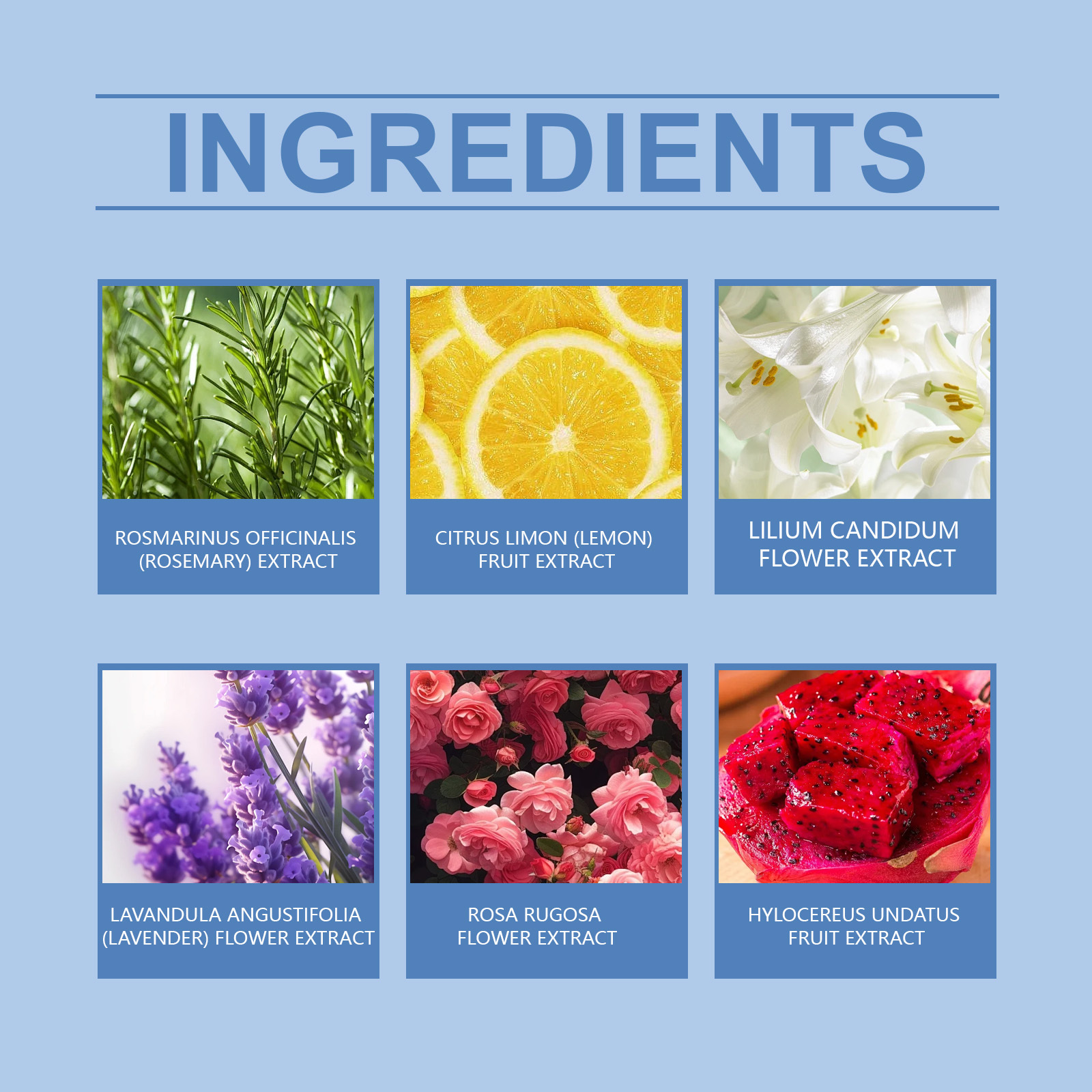 Pawdear Colorful Salt Bath Bal, Floral Shower Fragrance Clean, Moisturizing And Long-Lasting Colorful Bath Ball-PawDear