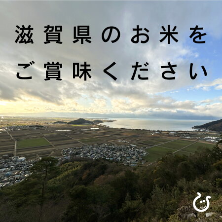 新米白米玄米みずかがみ10kg5kg&times;2袋滋賀県産令和7年80