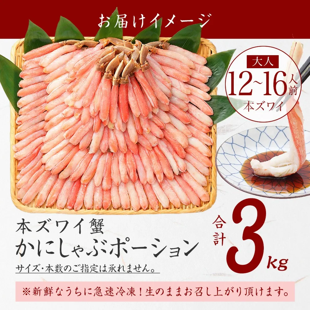 カニ かに 蟹 ズワイガニ お刺身 OK カット済み 種類が選べる！ 生ずわい ズワイ蟹 生 冷凍 ボイル 刺し身 ポーション ギフト