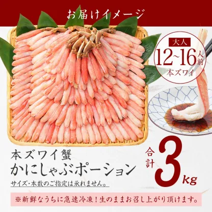 カニ かに 蟹 ズワイガニ お刺身 OK カット済み 種類が選べる！ 生ずわい ズワイ蟹 生 冷凍 ボイル 刺し身 ポーション ギフト