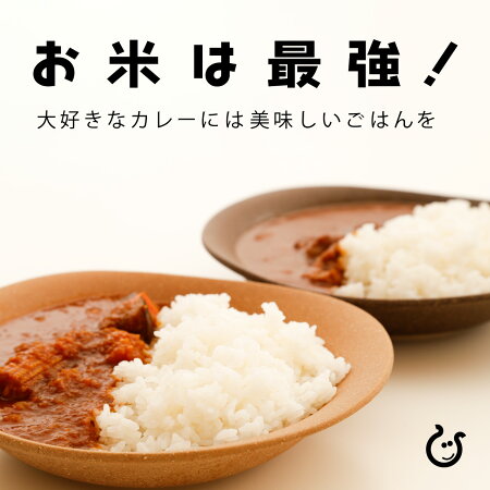 新米白米玄米みずかがみ10kg5kg&times;2袋滋賀県産令和7年80