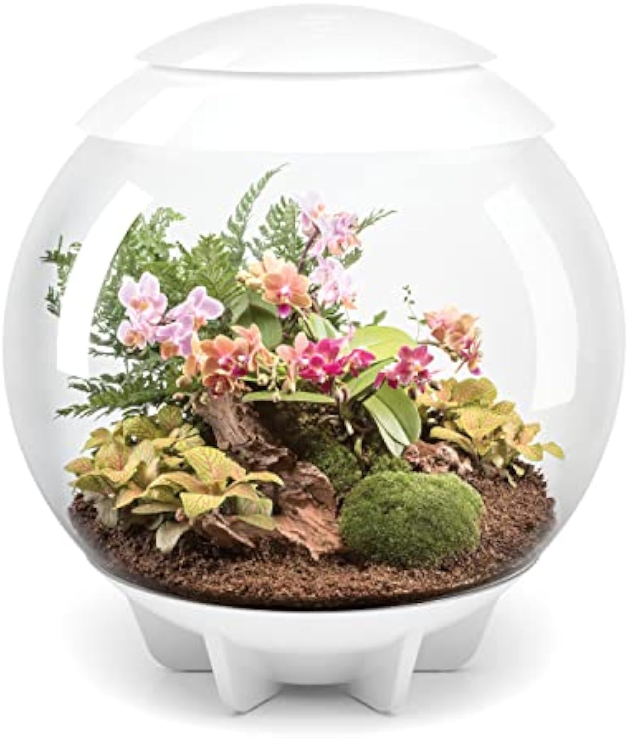 🪴Biorb AIR 60 LED Terrarium - 16 gallon
