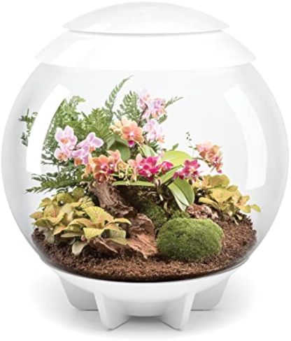 🪴Biorb AIR 60 LED Terrarium - 16 gallon