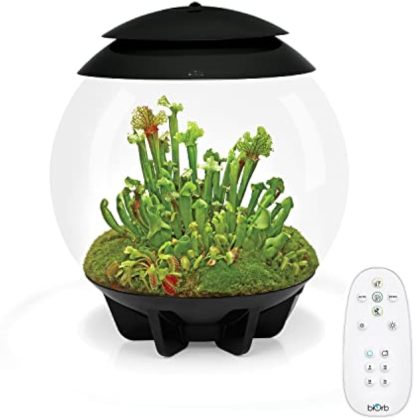 🪴Biorb AIR 60 LED Terrarium - 16 gallon