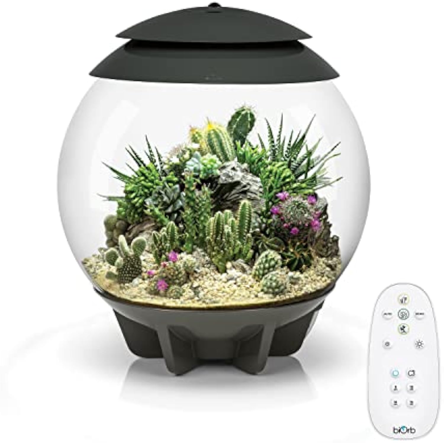 🪴Biorb AIR 60 LED Terrarium - 16 gallon