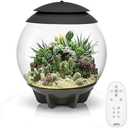 🪴Biorb AIR 60 LED Terrarium - 16 gallon