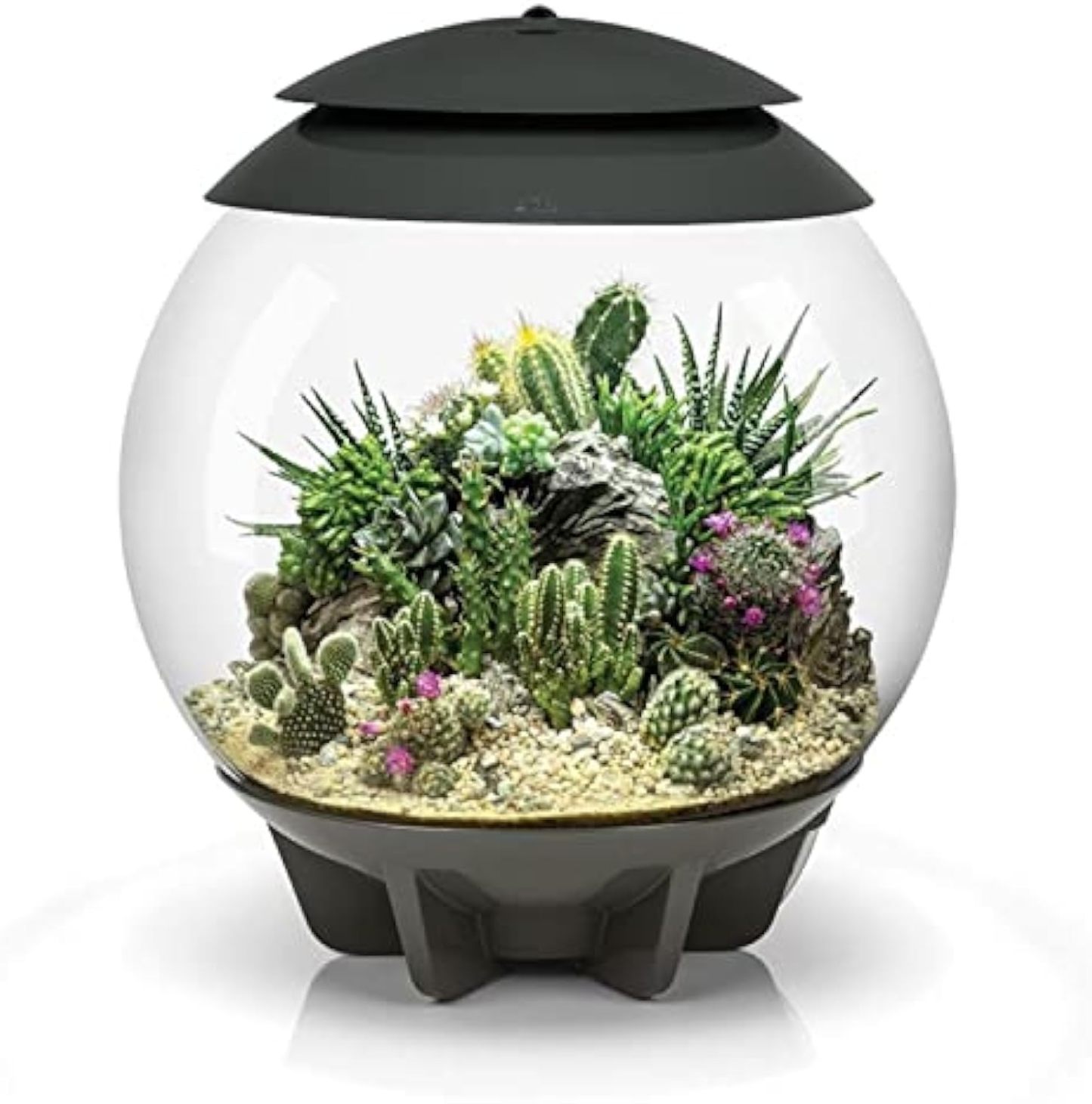 🪴Biorb AIR 60 LED Terrarium - 16 gallon