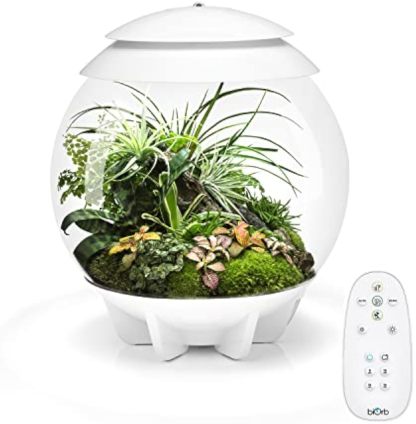 🪴Biorb AIR 60 LED Terrarium - 16 gallon