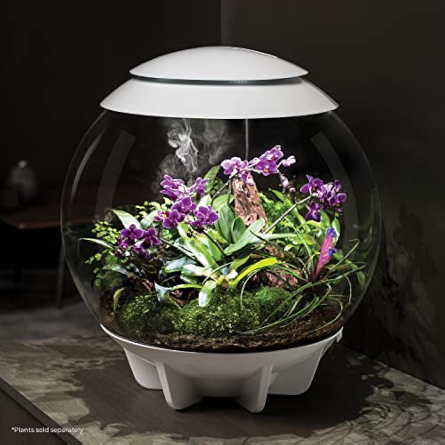 🪴Biorb AIR 60 LED Terrarium - 16 gallon
