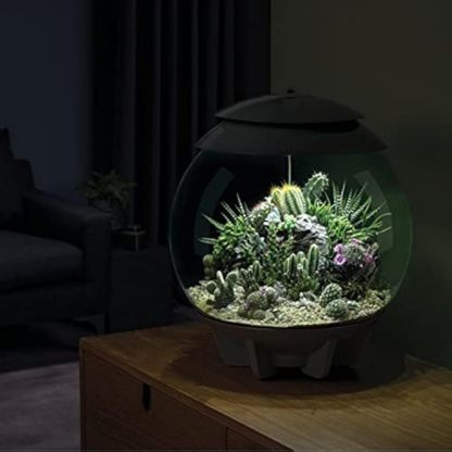 🪴Biorb AIR 60 LED Terrarium - 16 gallon