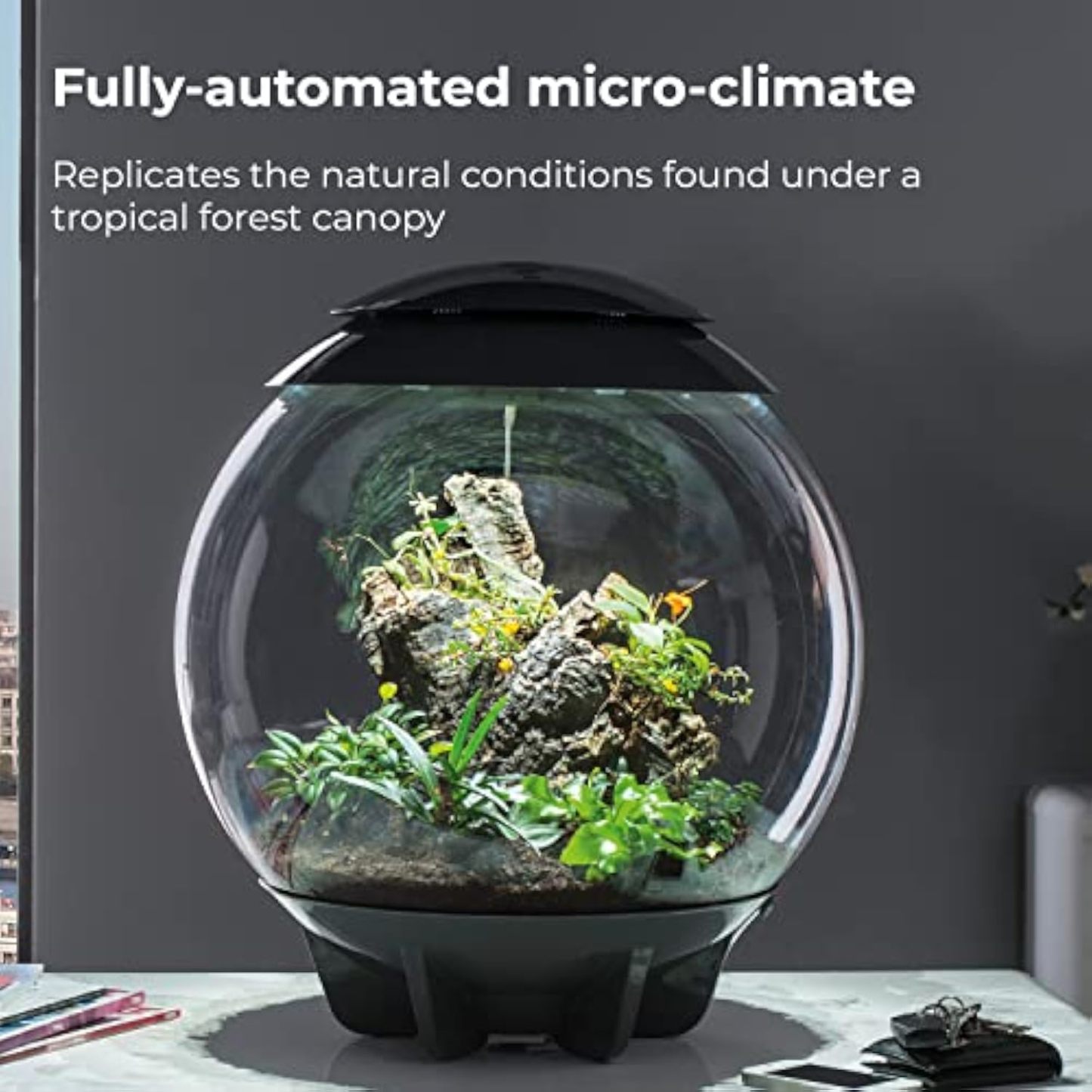 🪴Biorb AIR 60 LED Terrarium - 16 gallon