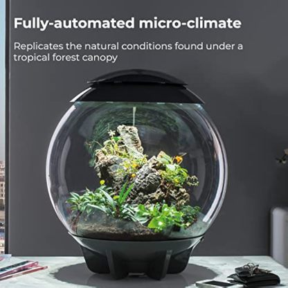 🪴Biorb AIR 60 LED Terrarium - 16 gallon