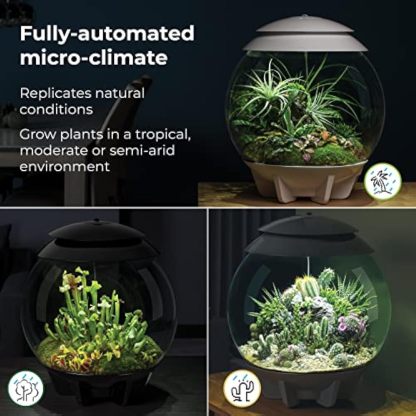 🪴Biorb AIR 60 LED Terrarium - 16 gallon