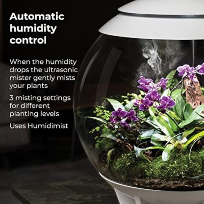 🪴Biorb AIR 60 LED Terrarium - 16 gallon