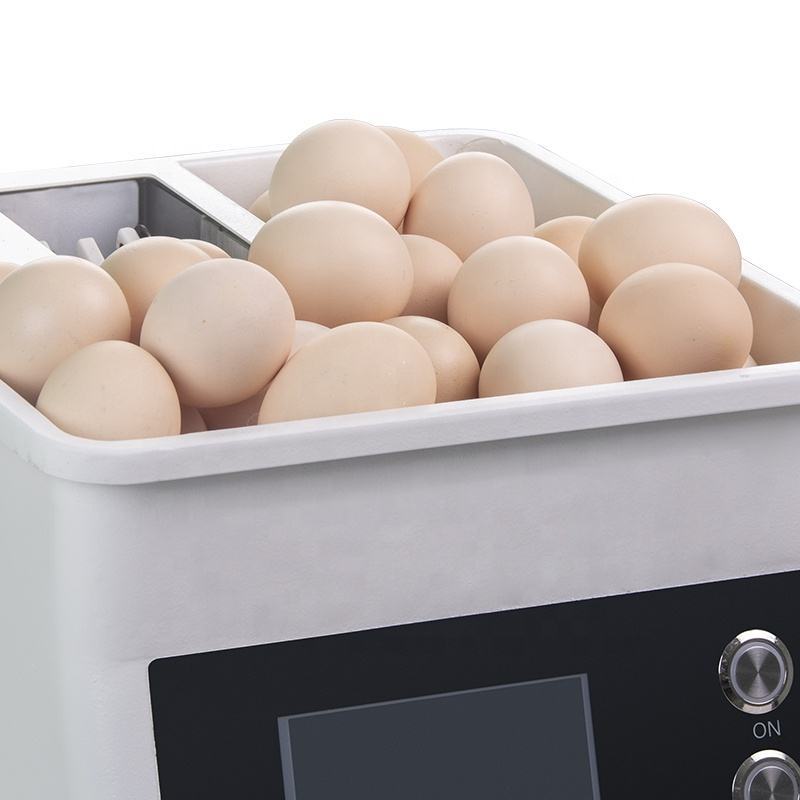 🍳Intelligent Commercial Automatic Omelette Maker