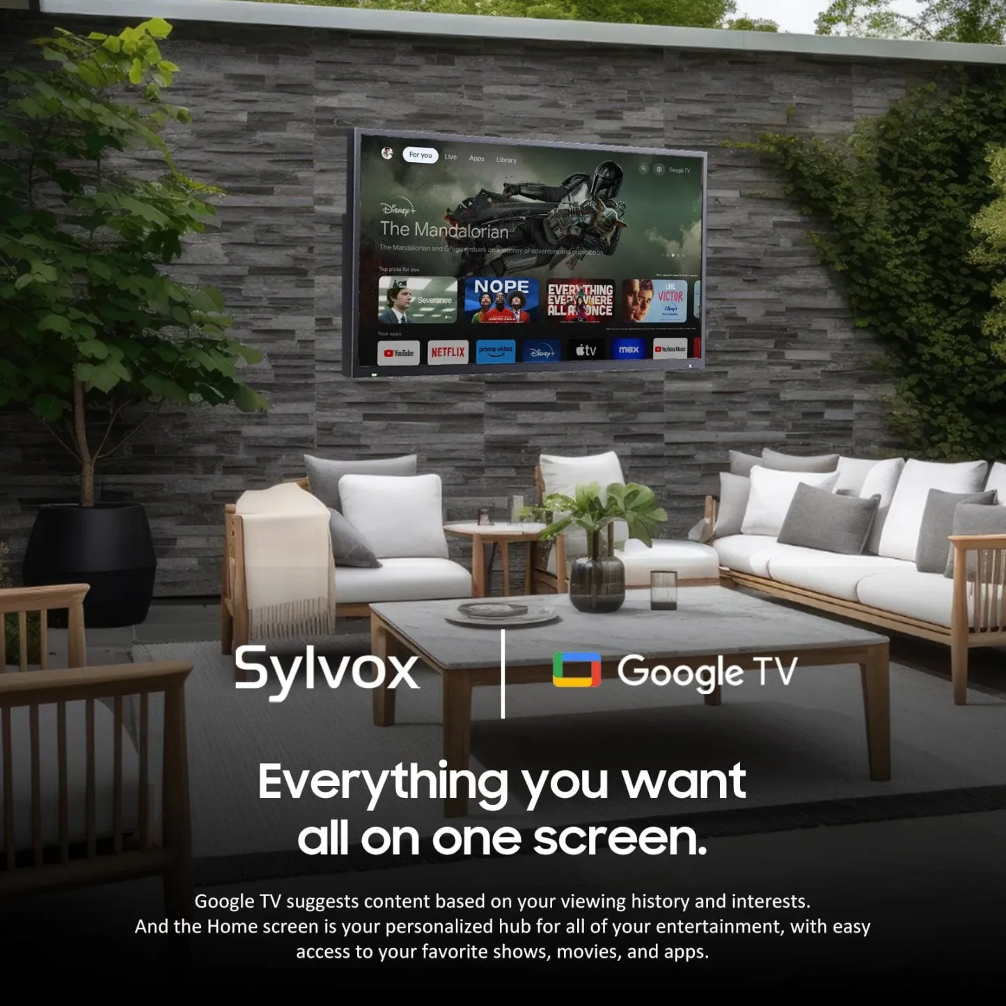 55" Outdoor TV(Google TV) - 2025 Deck Pro 2.0