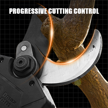 Cordless Pruning Shears