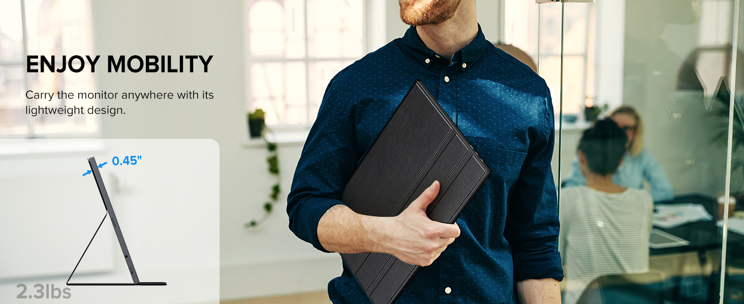 portable monitor 