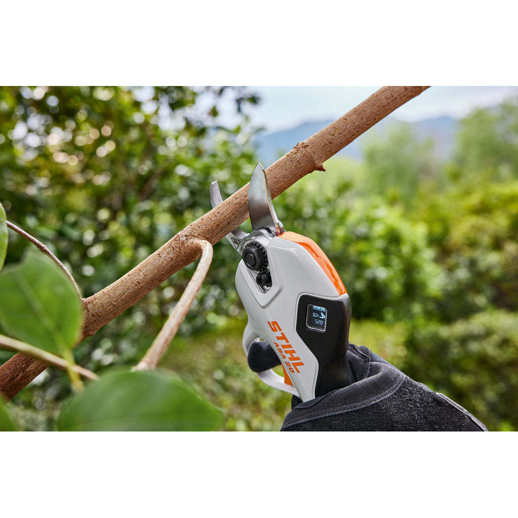 ✂️Stihl ASA 20 cordless pruning shears / with AS 2 battery and charger