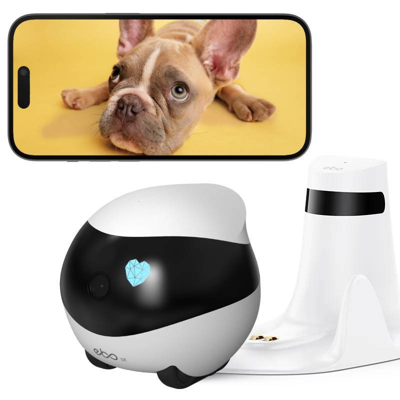 🤖EBO SE Wireless Camera Robot