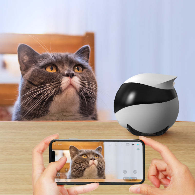 🤖EBO SE Wireless Camera Robot