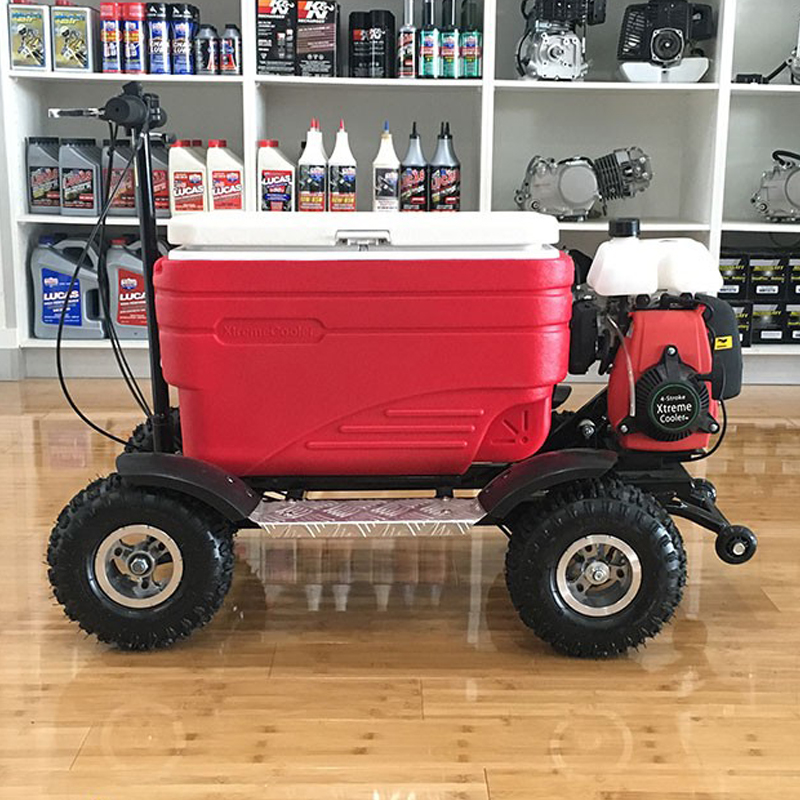 Motorized Cooler