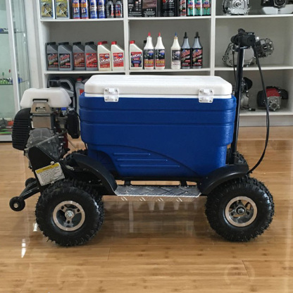 Motorized Cooler