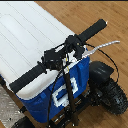 Motorized Cooler