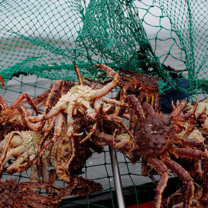 🦀Super Colossal Alaskan King Crab Legs