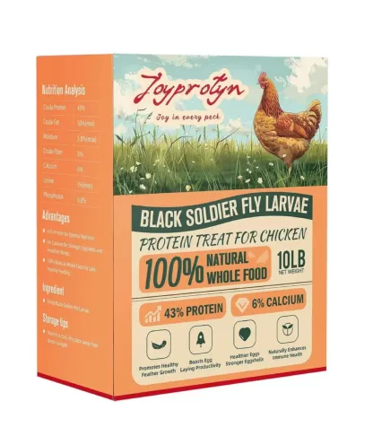 Dried Black Soldier Fly Larvae For Chicken