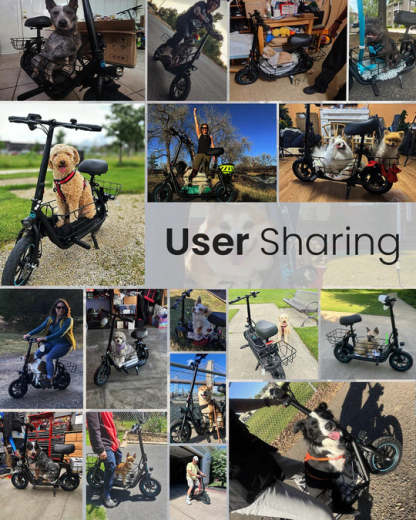 800W(Peak) Electric Scooter with Removeable Front And Back Basket