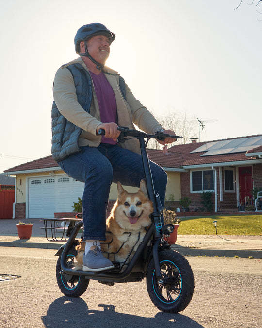 800W(Peak) Electric Scooter with Removeable Front And Back Basket
