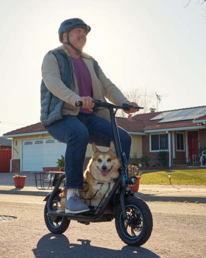 800W(Peak) Electric Scooter with Removeable Front And Back Basket