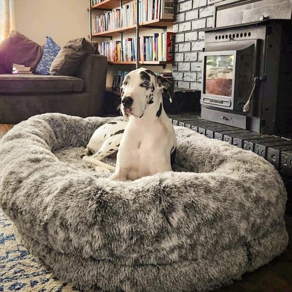 ✨TODAY ONLY🔔Luxury Super Large Sleep Deeper Oval Bed Human Dog Bed