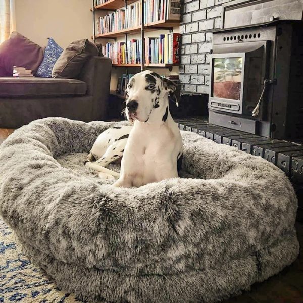 ✨TODAY ONLY🔔Luxury Super Large Sleep Deeper Oval Bed Human Dog Bed