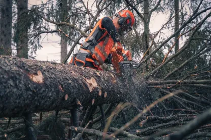 Husqvarna 592 XP Chainsaw 1