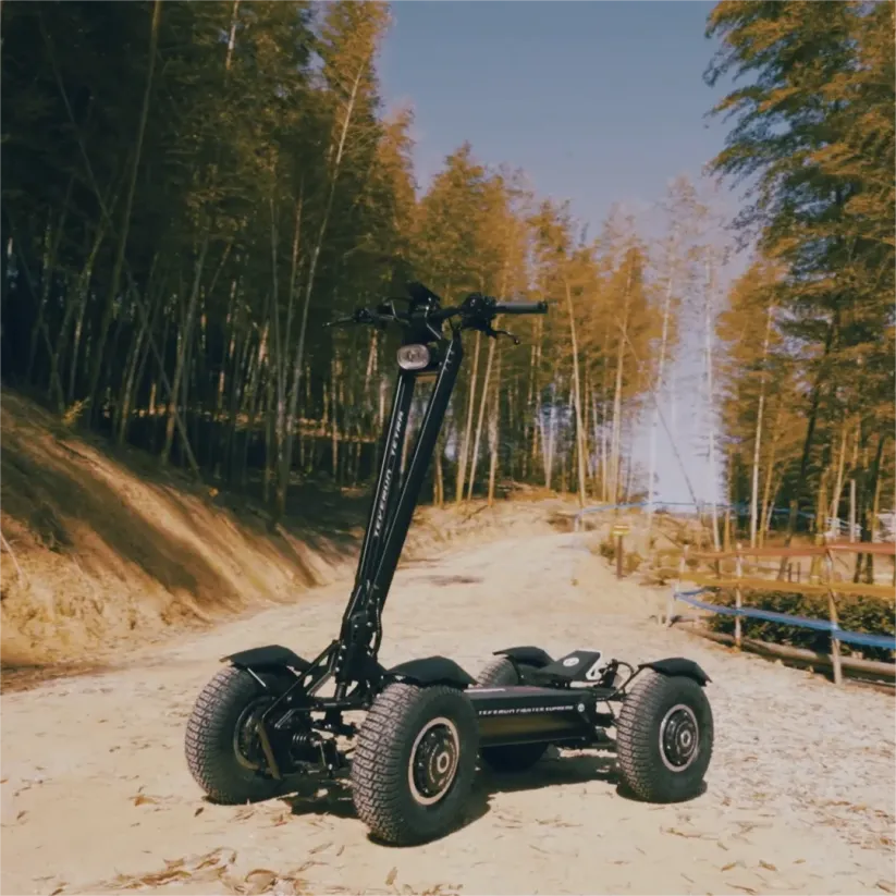 🛵New Teverun Folding Adult 4-wheel Powerful Electric Mobility Scooter🛵