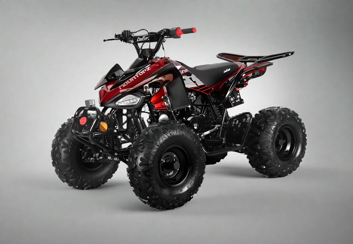 200cc Full-Size Adult ATV Automatic + Reverse